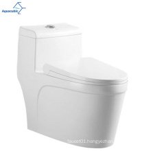 Aquacubic New Design White Ceramic Dual Flush One-Piece WC Toilet